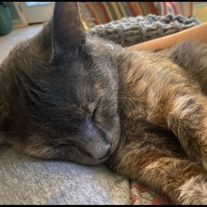 Meet your Posher, Julie